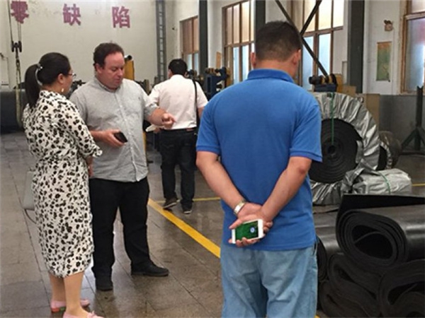 加拿大客户来厂参观丝瓜视频下载污污污并洽谈合作事宜
